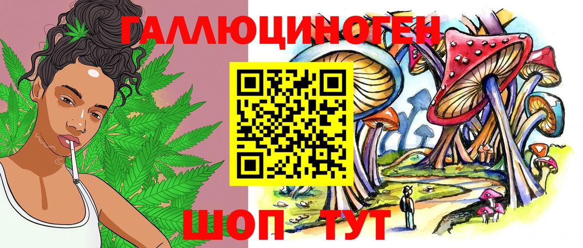 Псилоцибиновые грибы мухоморы Берёзовский